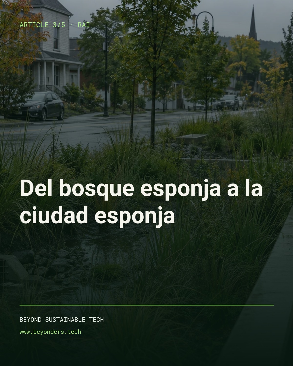 Portada del tercer artículo RAI: del bosque esponja a la ciudad esponja